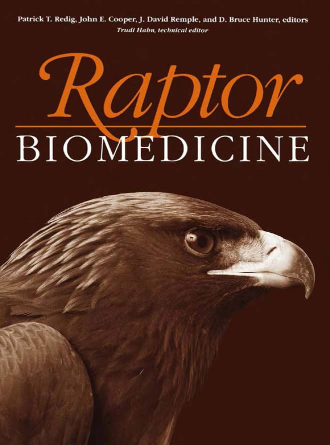 Raptor  Biomedicine