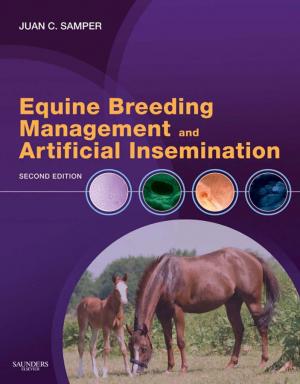 Equine Breeding Management  and Artificial Insemination