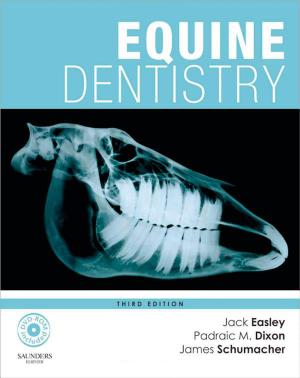 Equine Dentistry