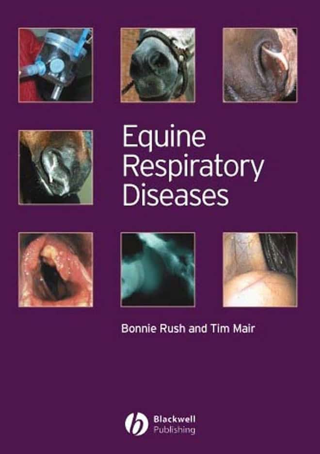 Equine Respiratory  Diseases