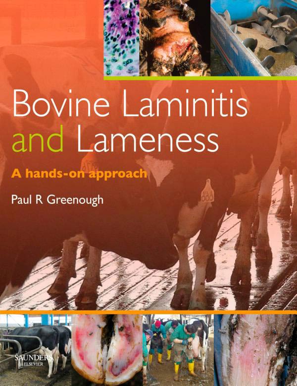 Bovine Laminitis and  Lameness A Hands  on Approach