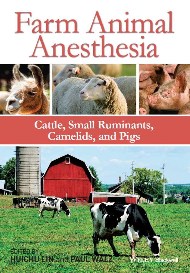 Farm Animal Anesthesia Cattle Small Ruminants  Camelids and Pigs