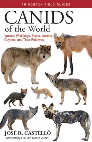 Canids of The World