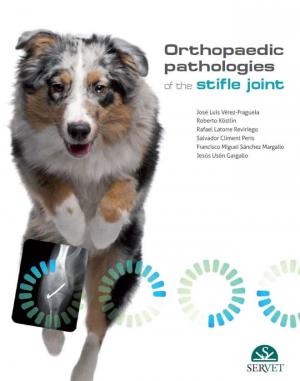 Orthopaedic  Pathologies of the Stifle Joint