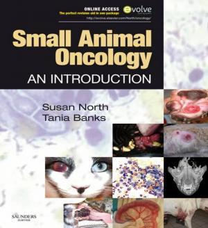 Small Animal Oncology An Introduction