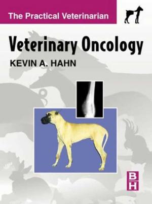 Veterinary oncology