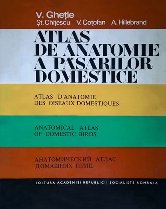 Anatomical Atlas Of Domestic Birds