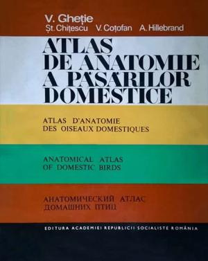 Anatomical Atlas Of Domestic Birds