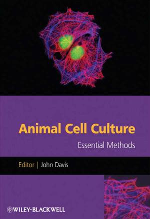 Animal Cell Culture