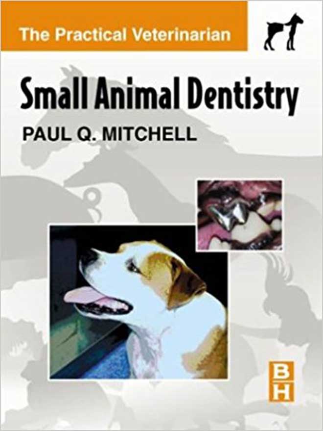 Small Animal Dentistry
