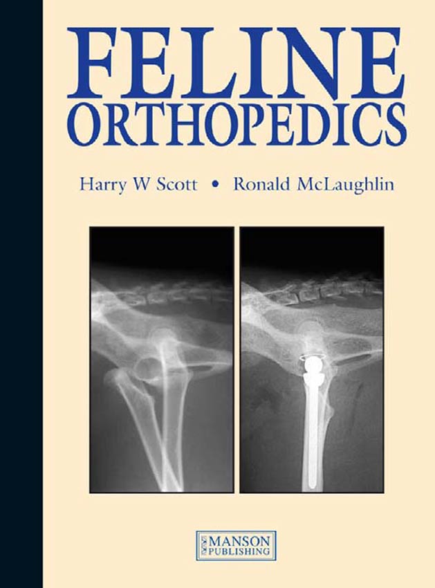 Feline Orthopedics