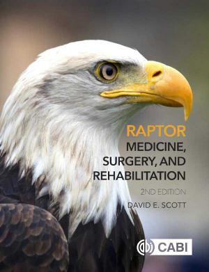 Raptor Medicine, Surgery, and Rehabilitation 2nd Edition