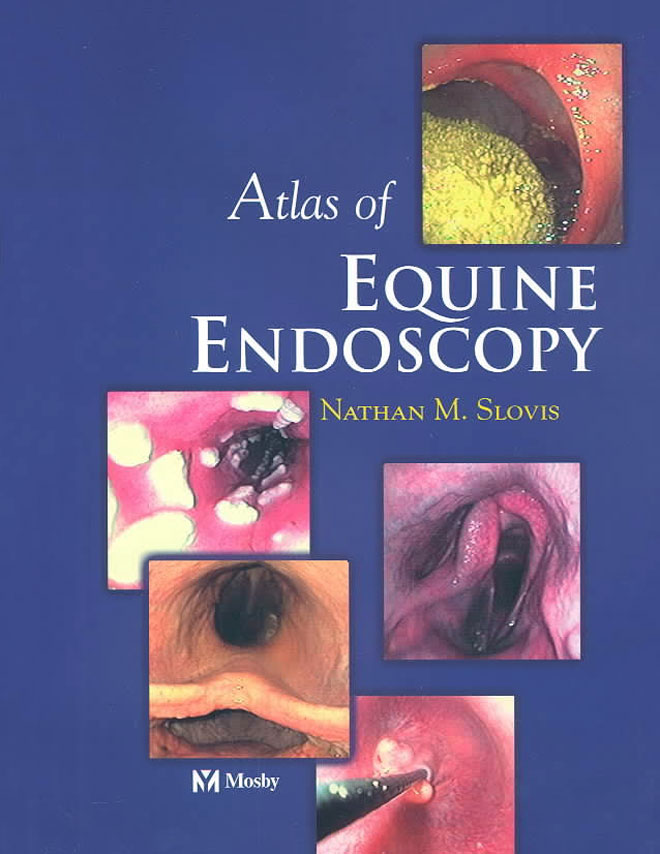 Atlas of Equine Endoscopy